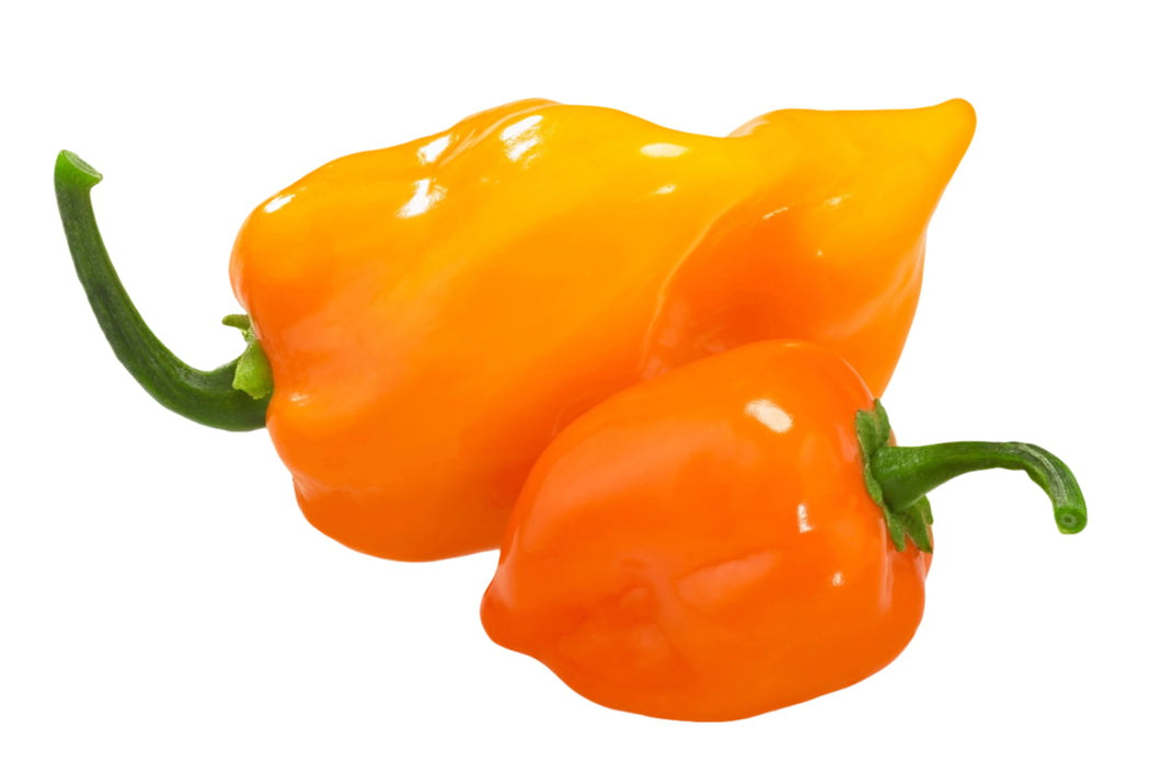 Habanero