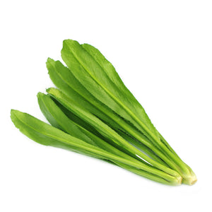 Culantro