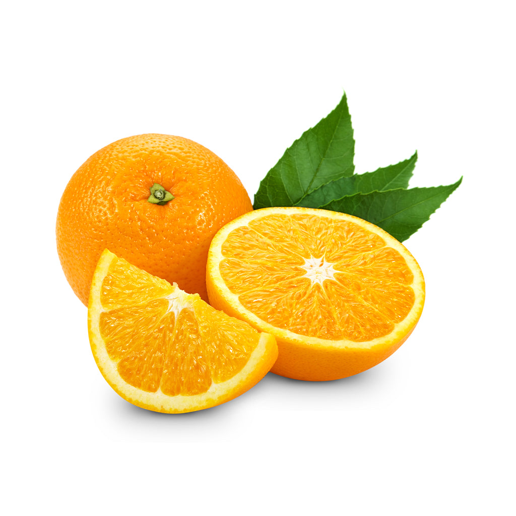 Navel Orange Egyptian Fresh Citrus best Price & High Quality